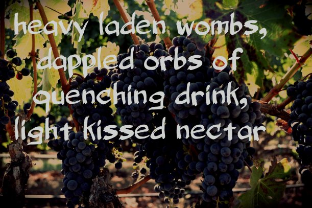 grapes Haiku
